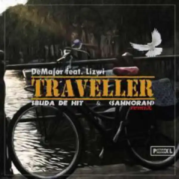 DeMajor - Traveller (Sbuda De hit & SAHnoRAH Remix) Ft. Lizwi